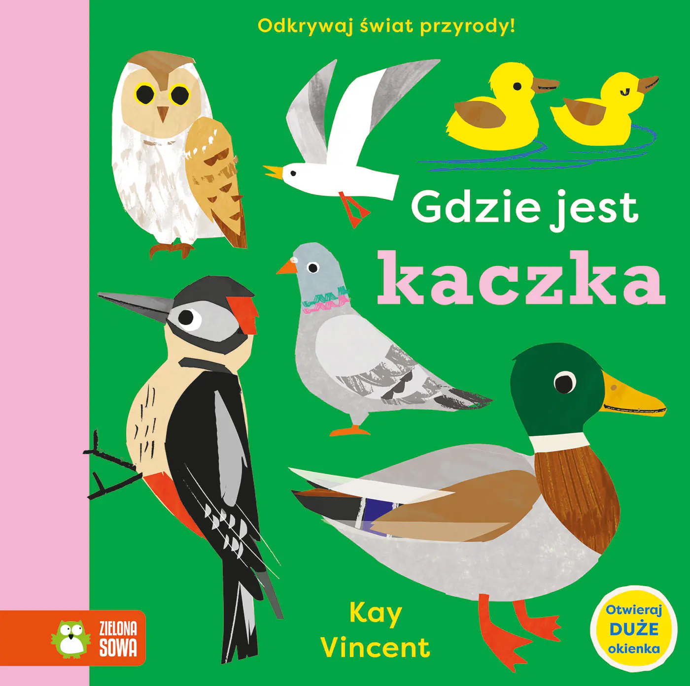 Książka - Gdzie jest kaczka