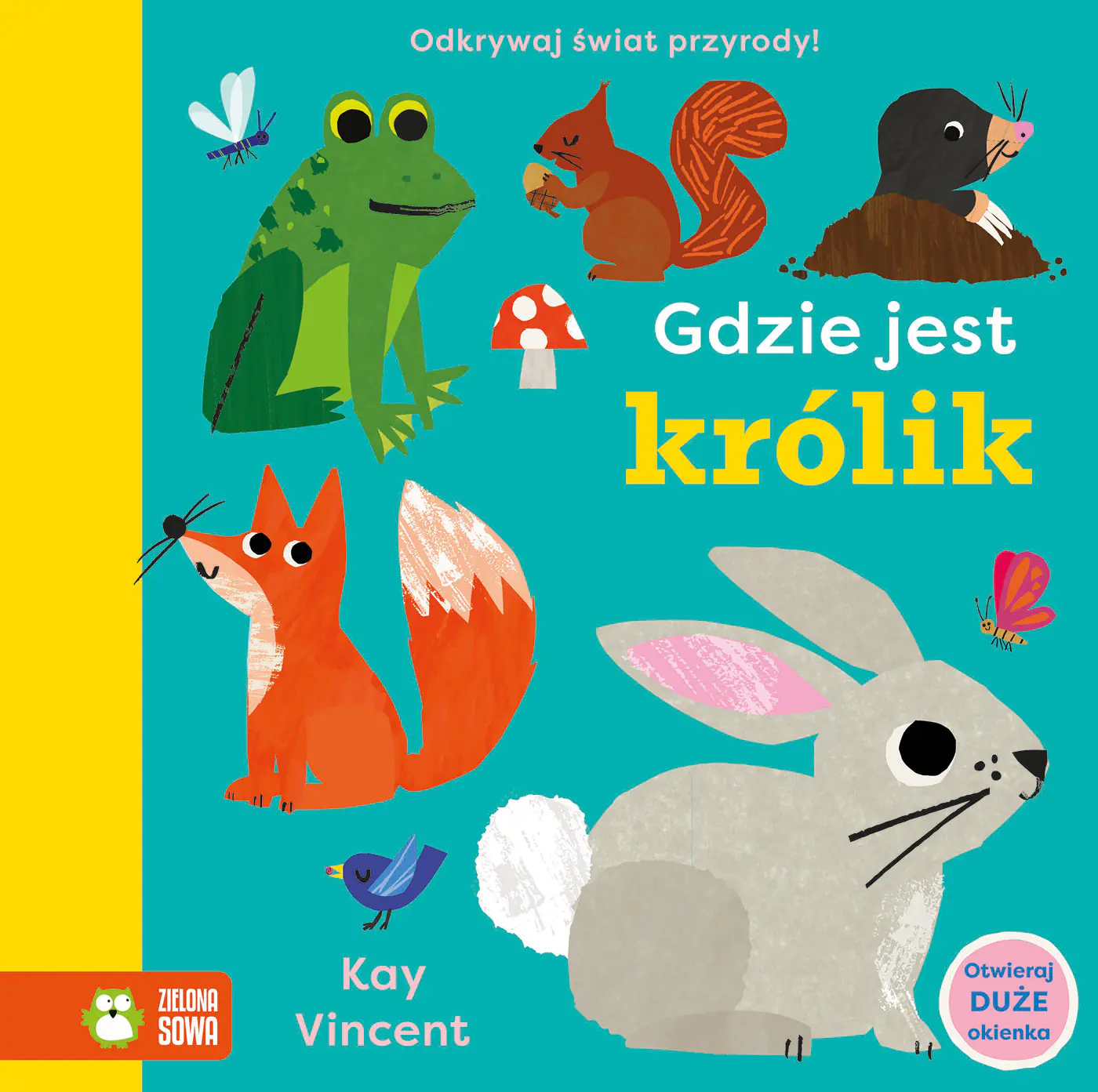 Książka - Gdzie jest królik