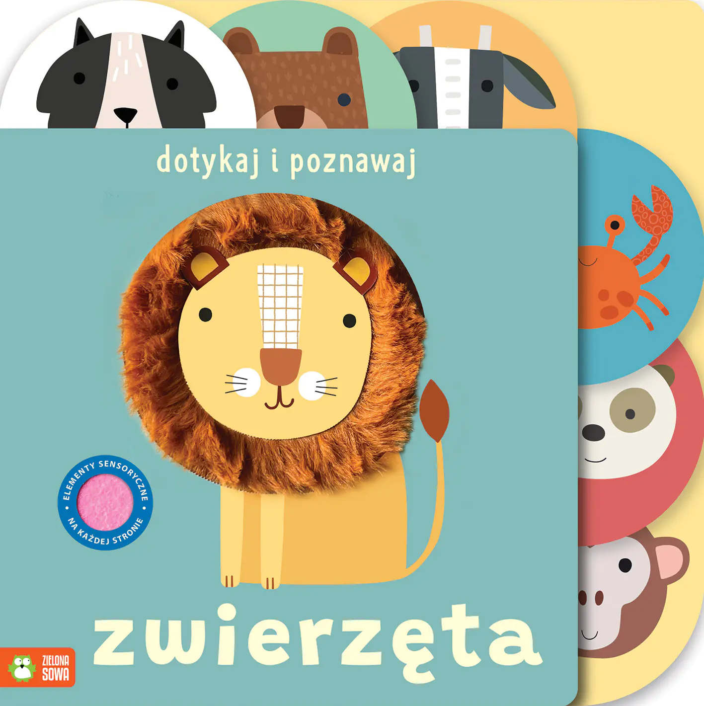 Książka - Zwierzęta. Dotykaj i poznawaj