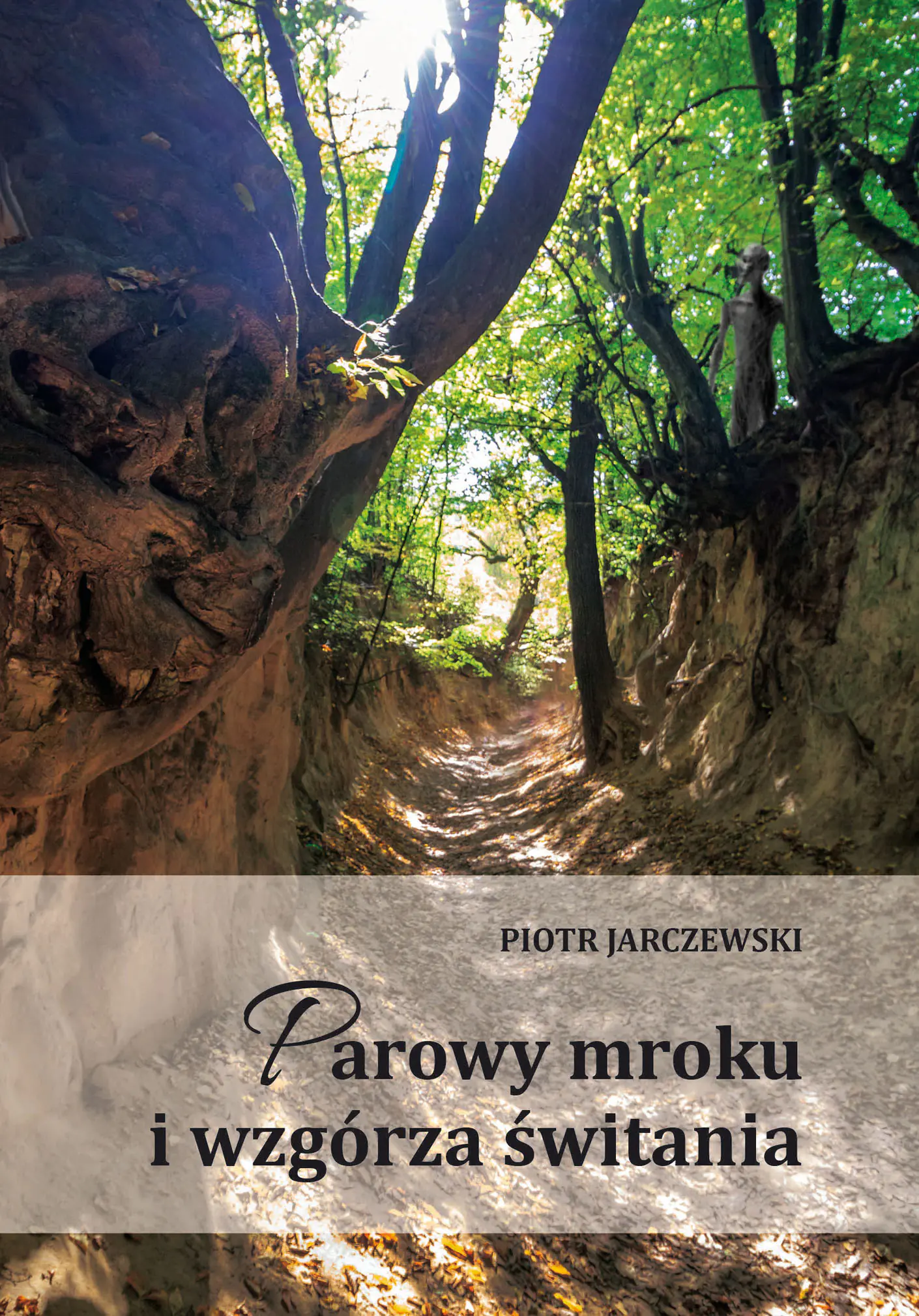 Książka - Parowy mroku i wzgórza świtania