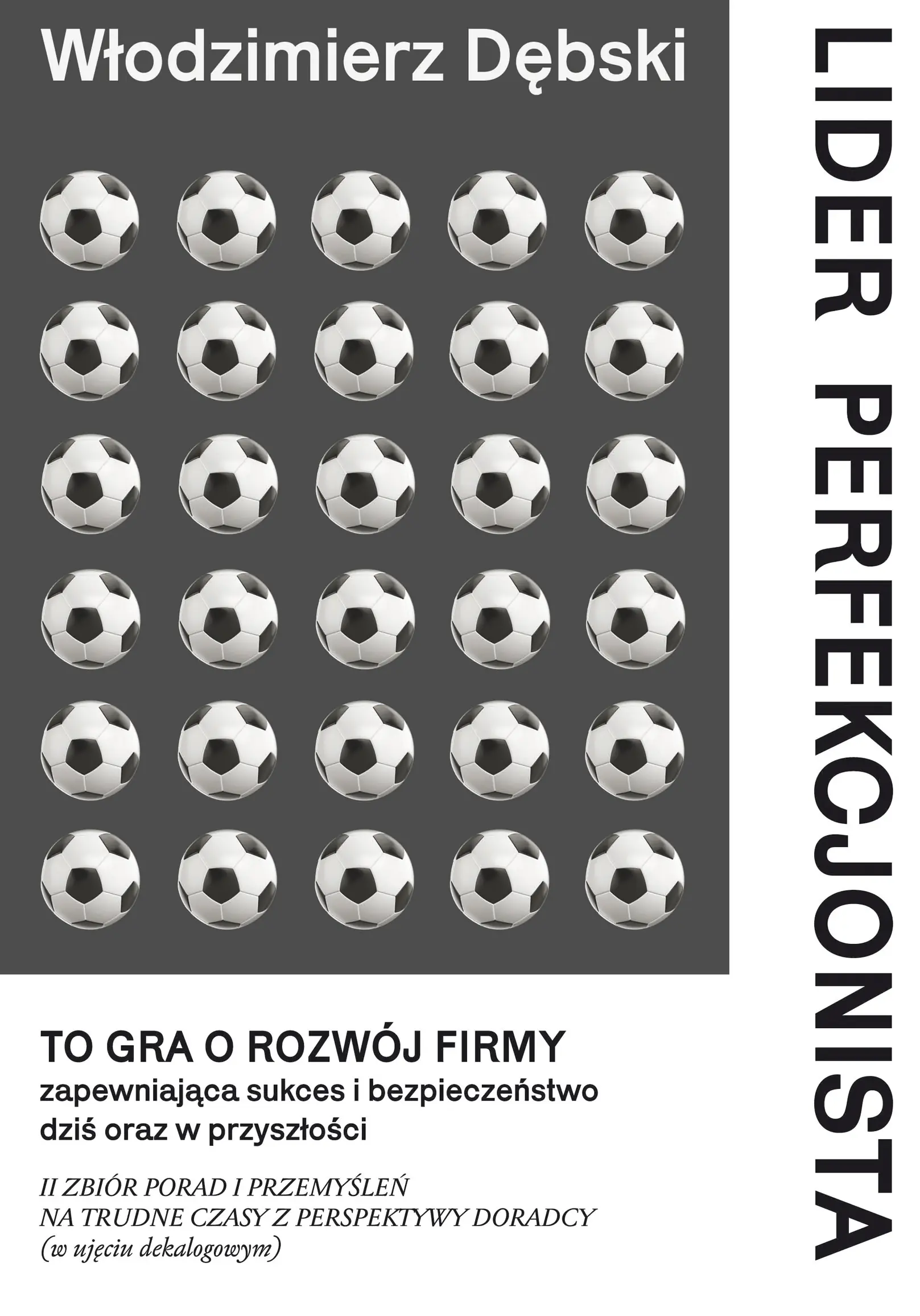 Książka - Lider perfekcjonista