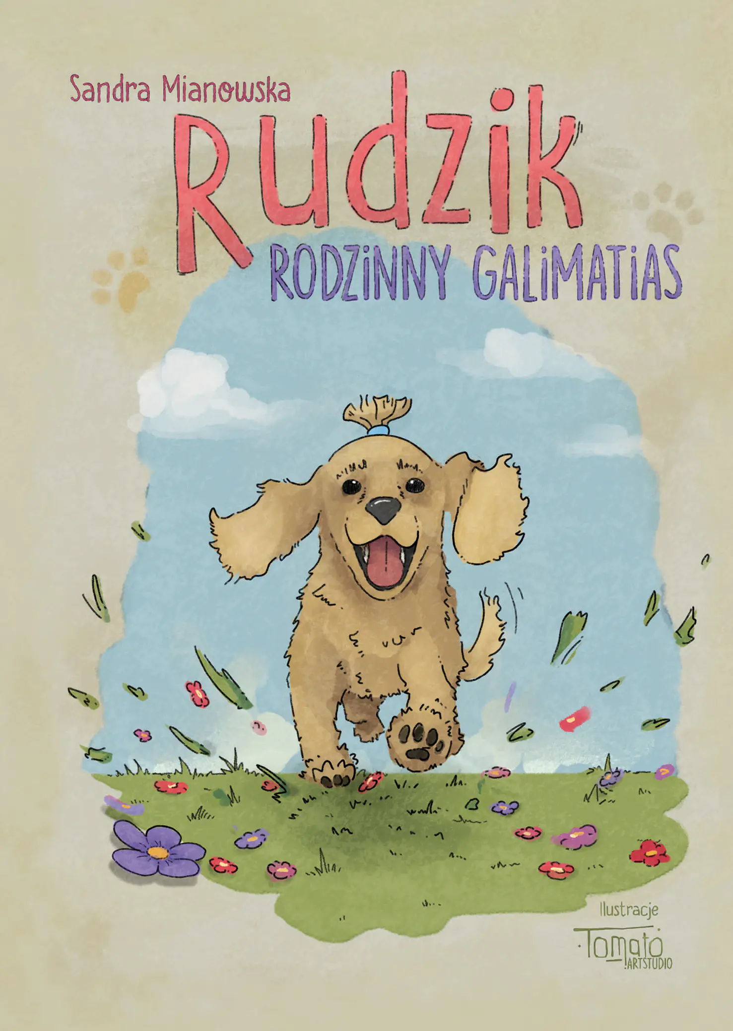 Książka - Rudzik. Rodzinny galimatias