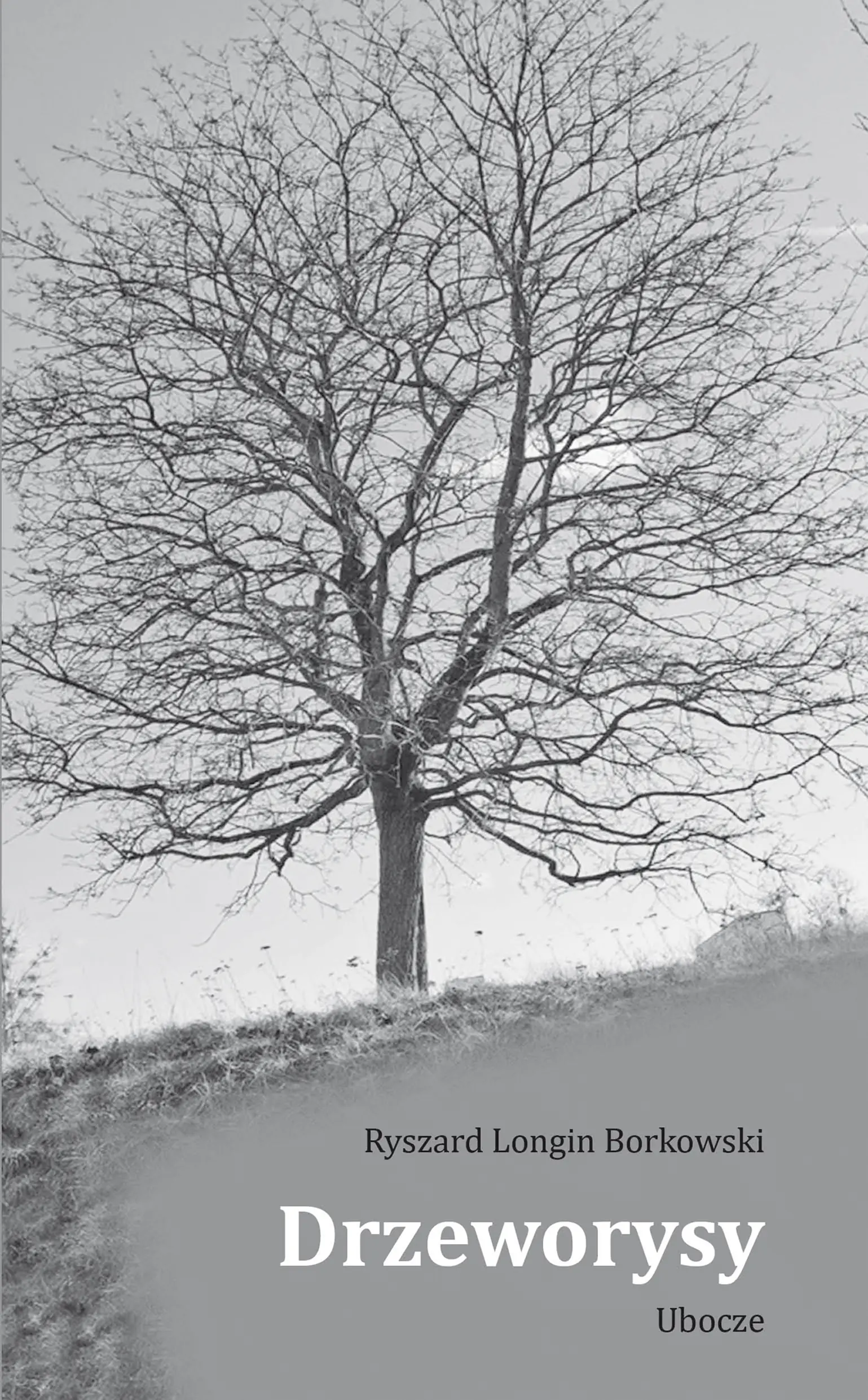 Książka - Drzeworysy. Ubocze