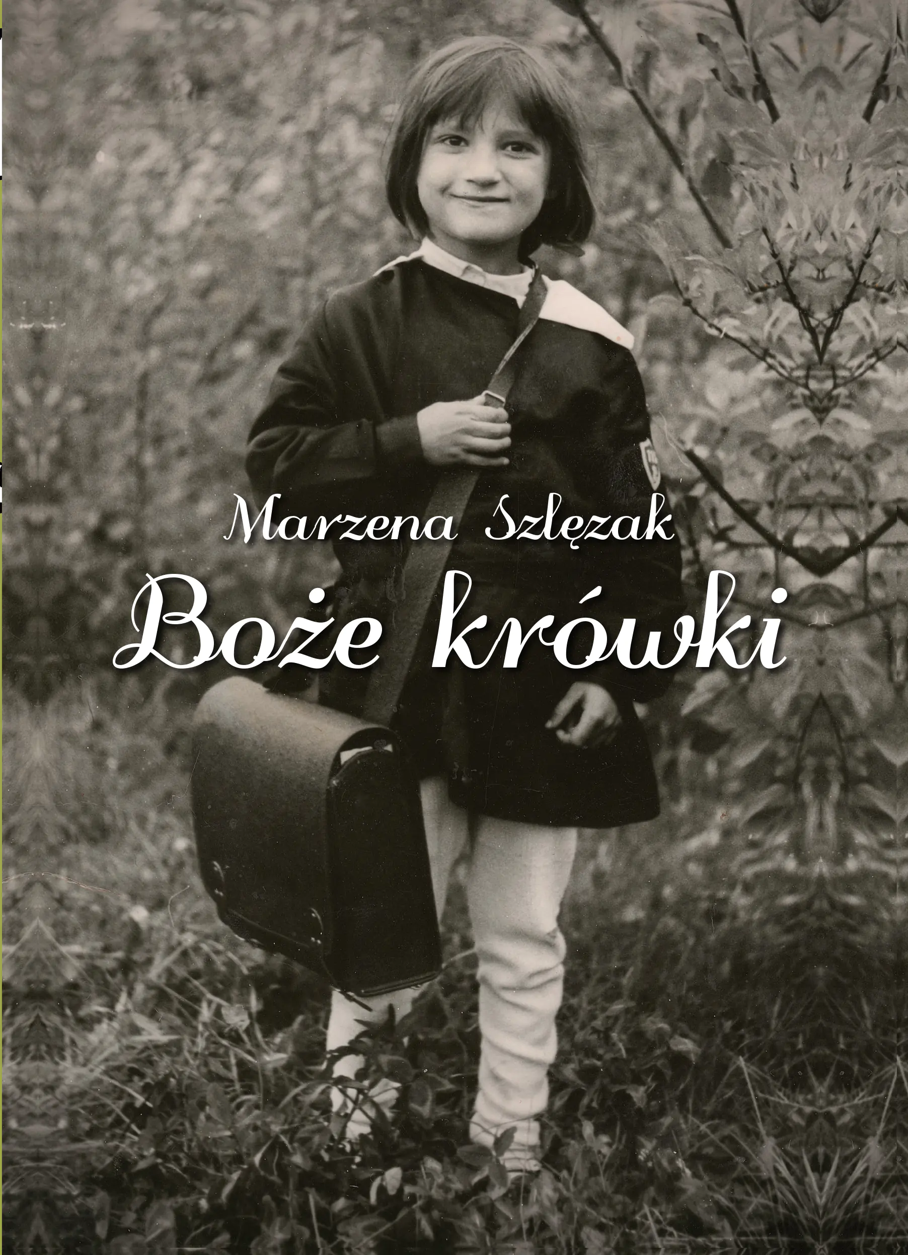 Książka - Boże krówki