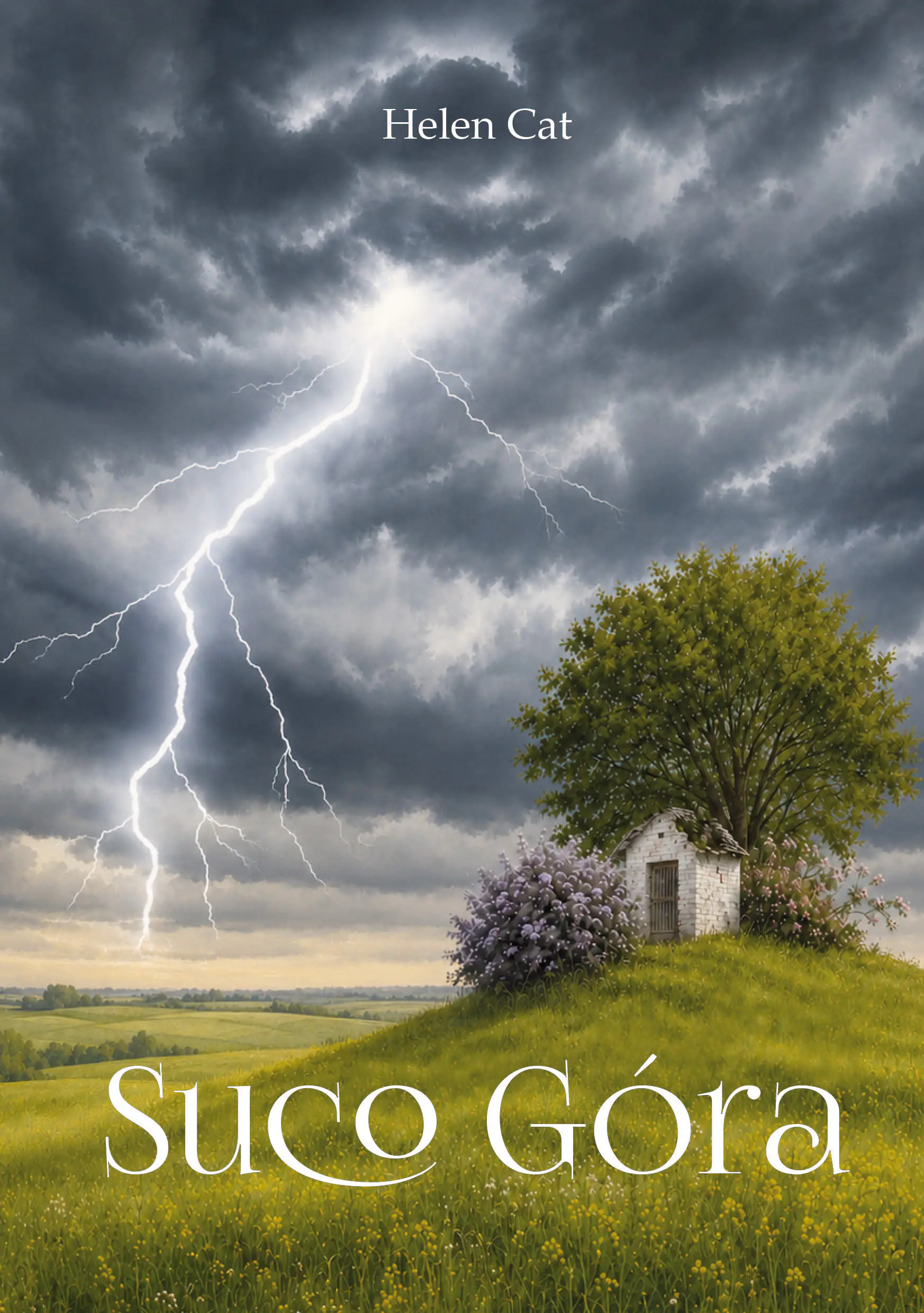Książka - Suco Góra