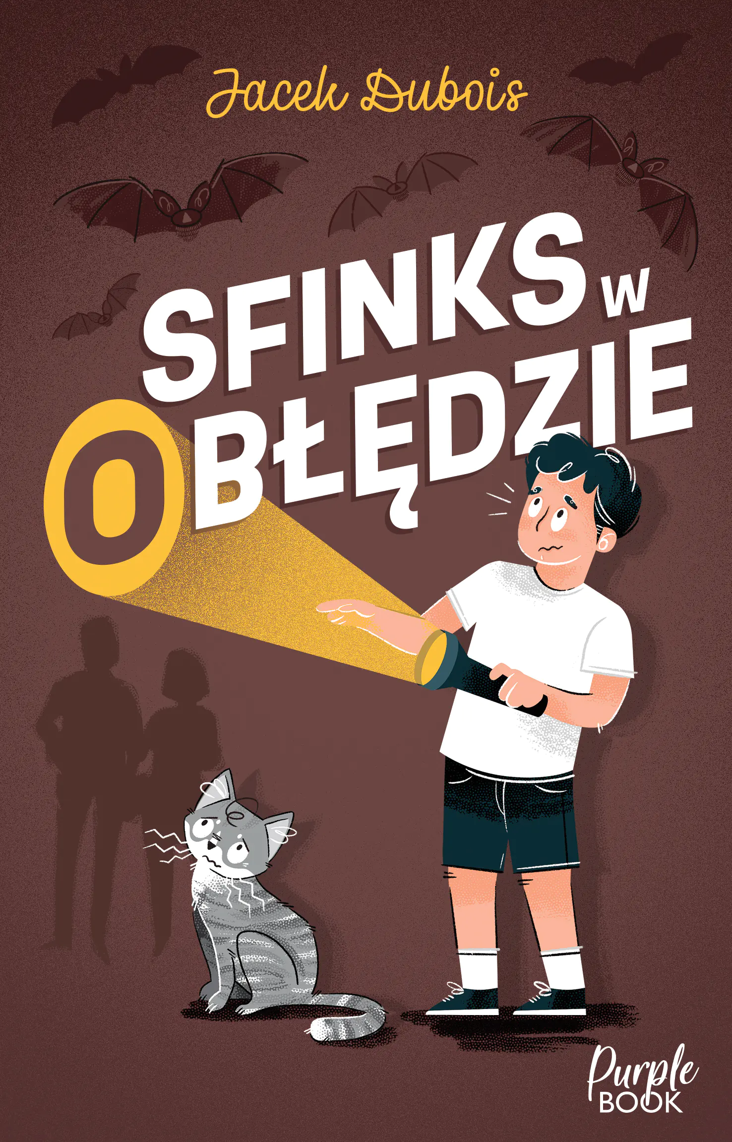 Książka - Sfinks w (o)błędzie
