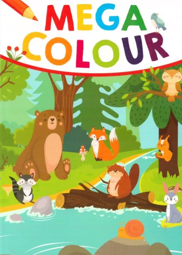 Książka - Mega Colour