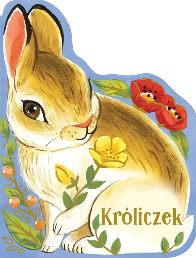 Książka - Króliczek