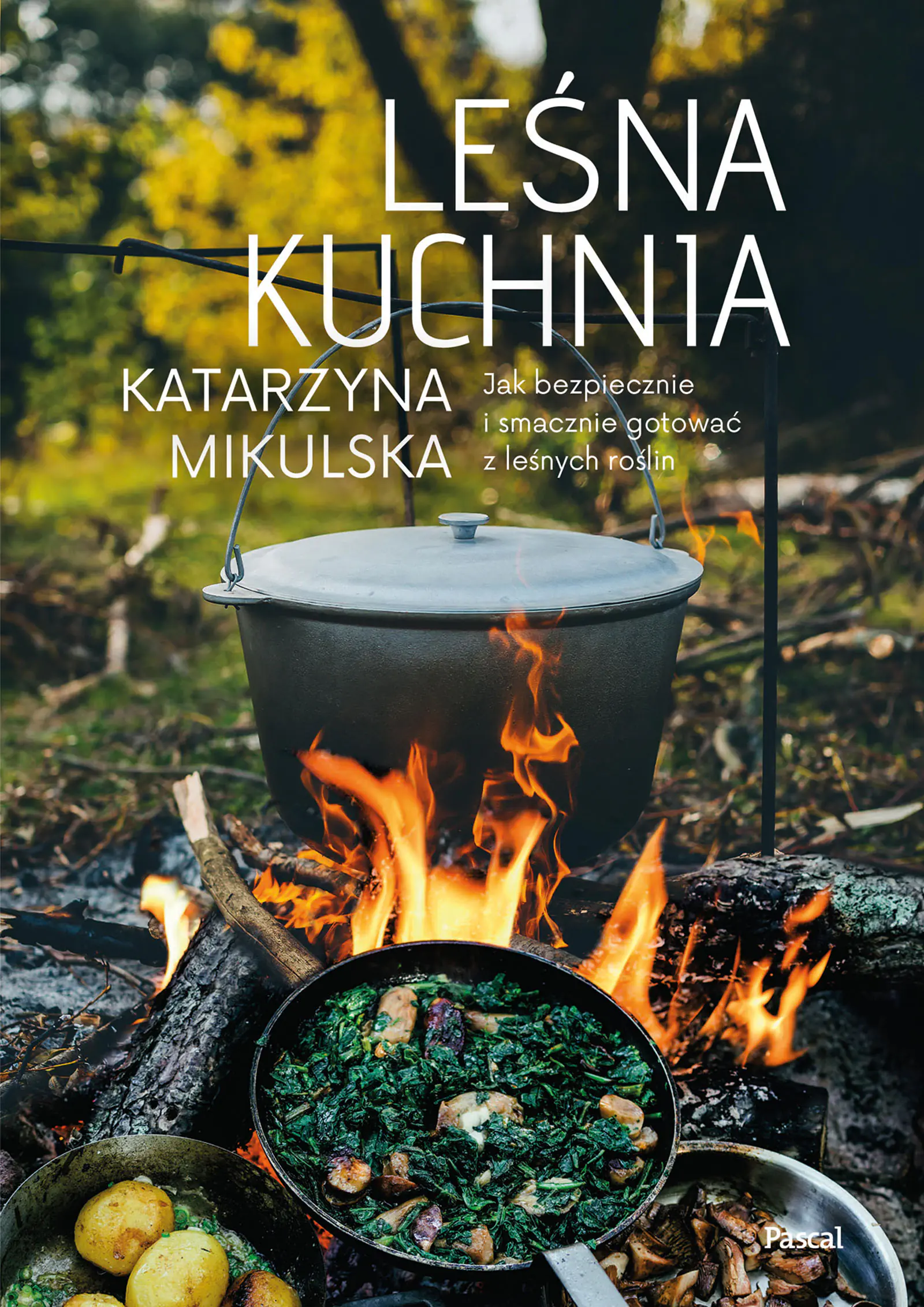 Książka - Leśna kuchnia