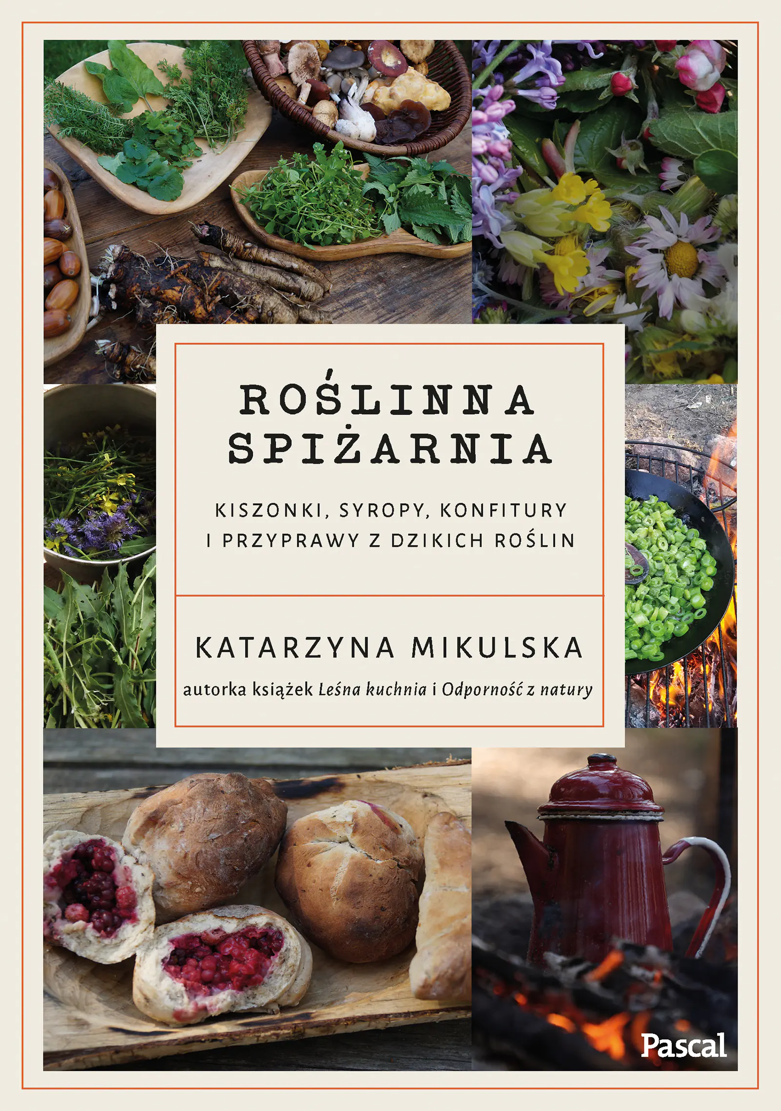 Książka - Roślinna spiżarnia. Kiszonki, syropy, konfitury i przyprawy z dzikich roślin