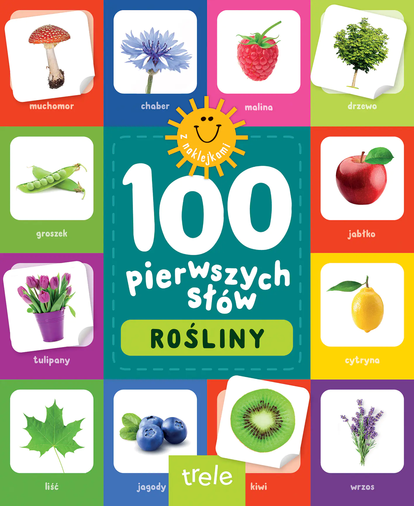 Książka - 100 pierwszych słów z naklejkami. Rośliny
