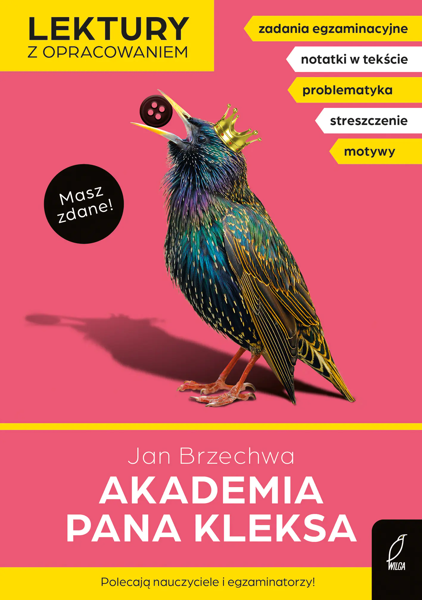 Książka - Akademia Pana Kleksa. Masz zdane!