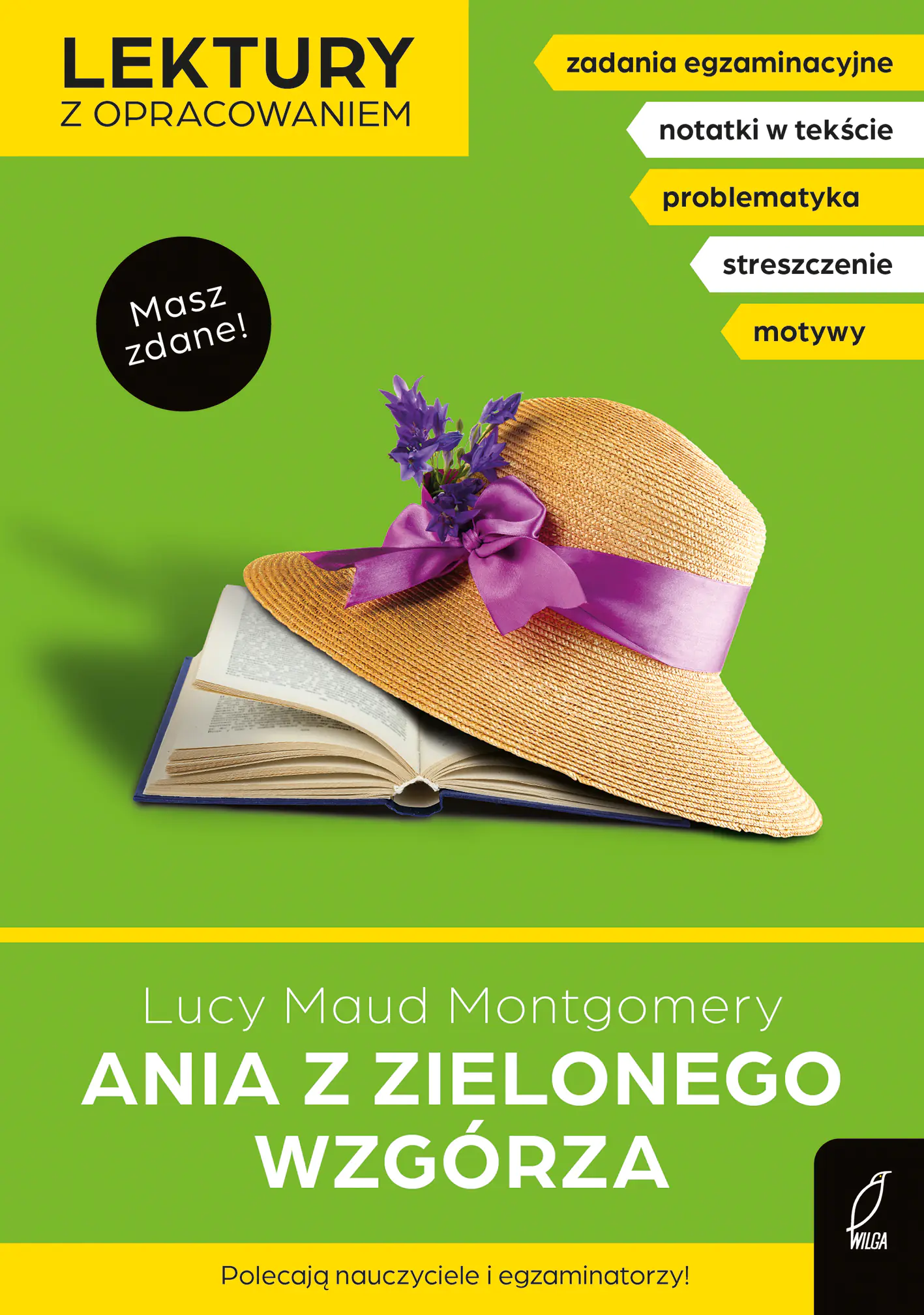 Książka - Ania z Zielonego Wzgórza. Masz zdane!