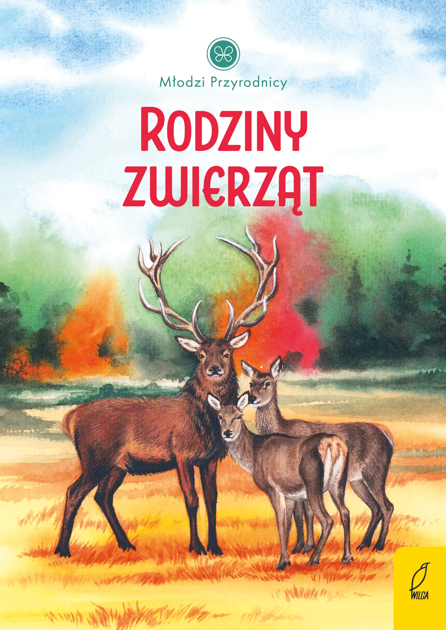 Książka - Rodziny zwierząt. Młodzi przyrodnicy