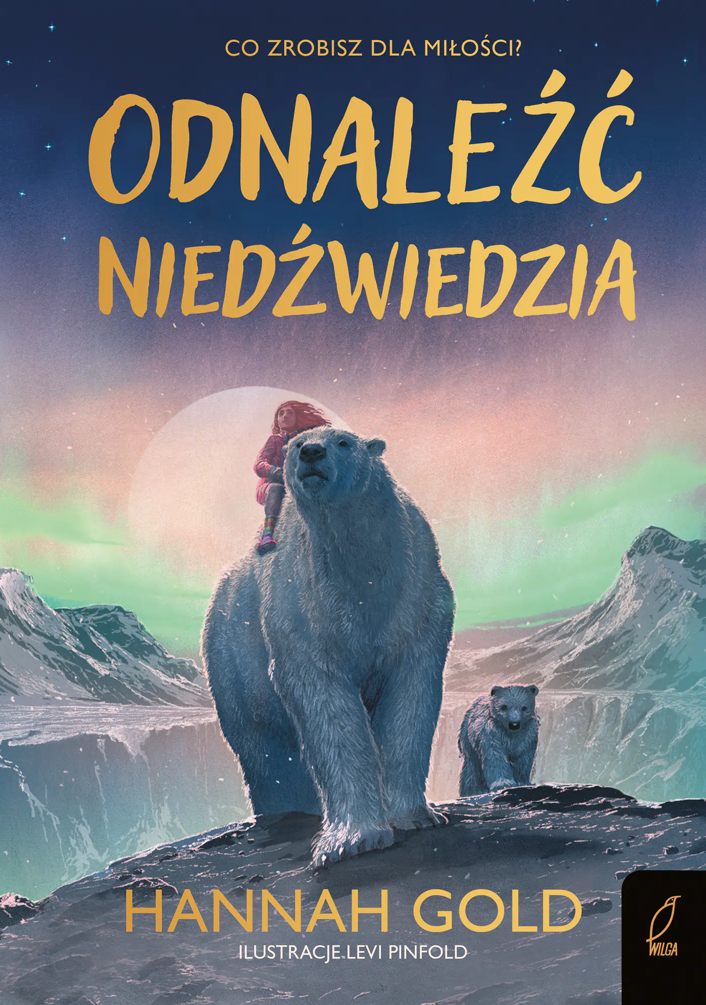 Książka - Odnaleźć niedźwiedzia