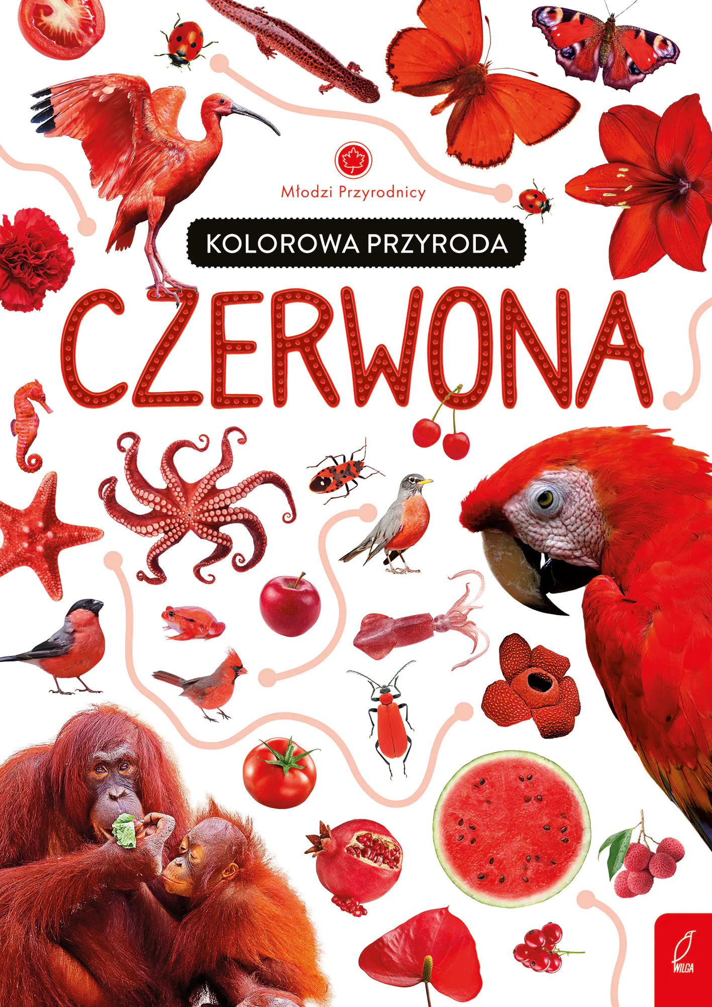 Książka - Kolorowa przyroda. Czerwona