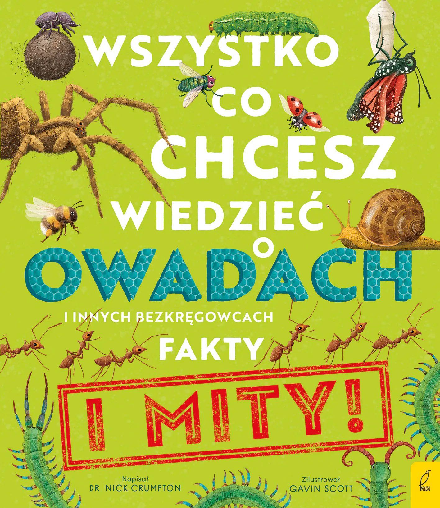 Książka - Wszystko, co chcesz wiedzieć o owadach i innych bezkręgowcach. Fakty i mity !