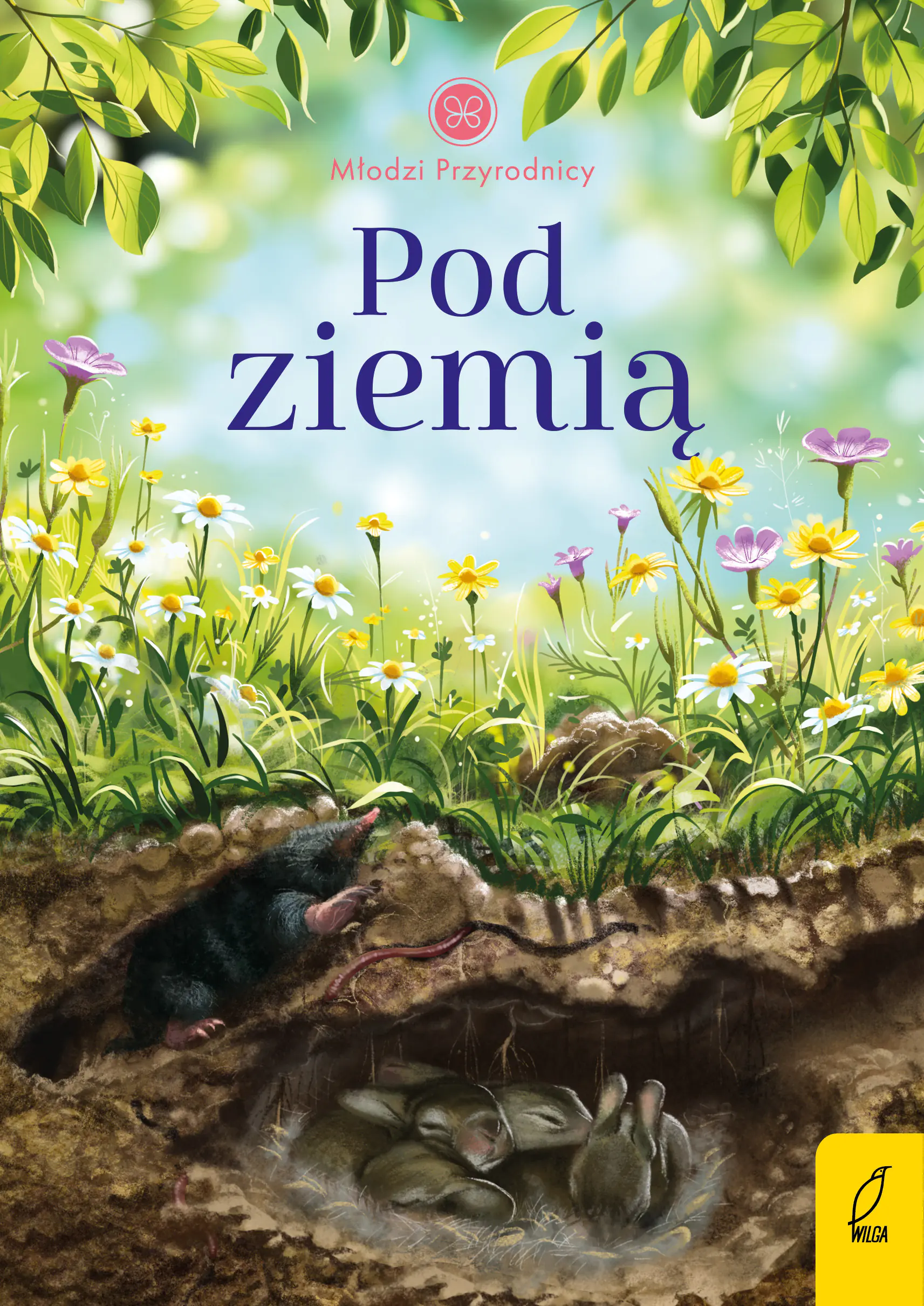 Książka - Pod ziemią. Młodzi przyrodnicy