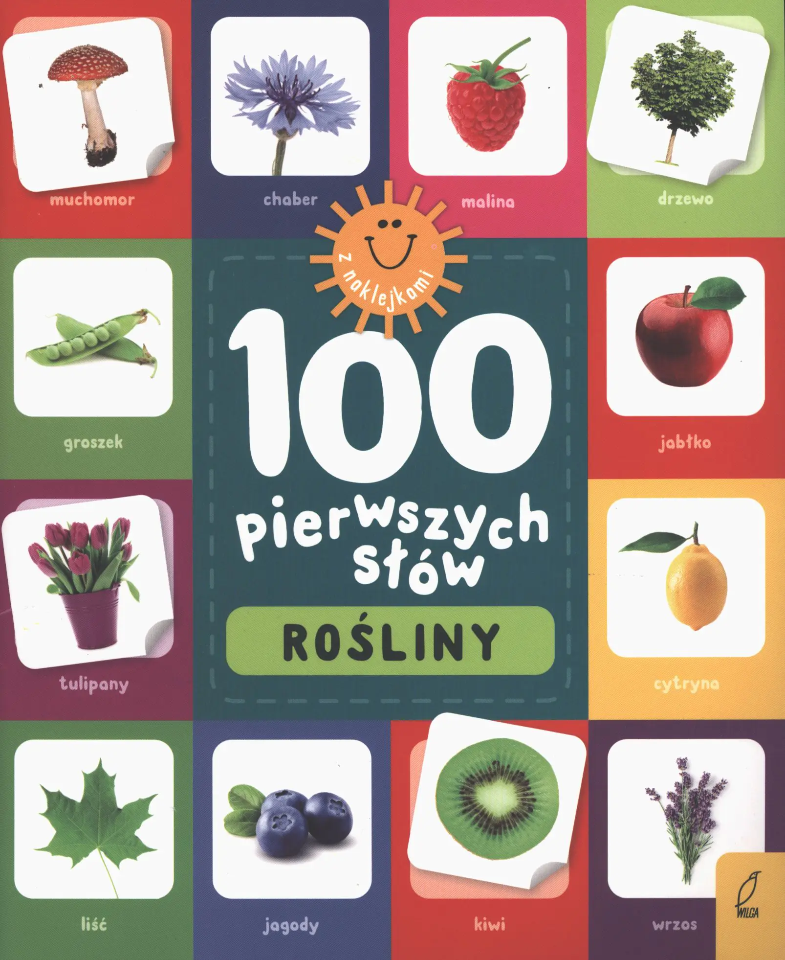 Książka - Rośliny. 100 pierwszych słów
