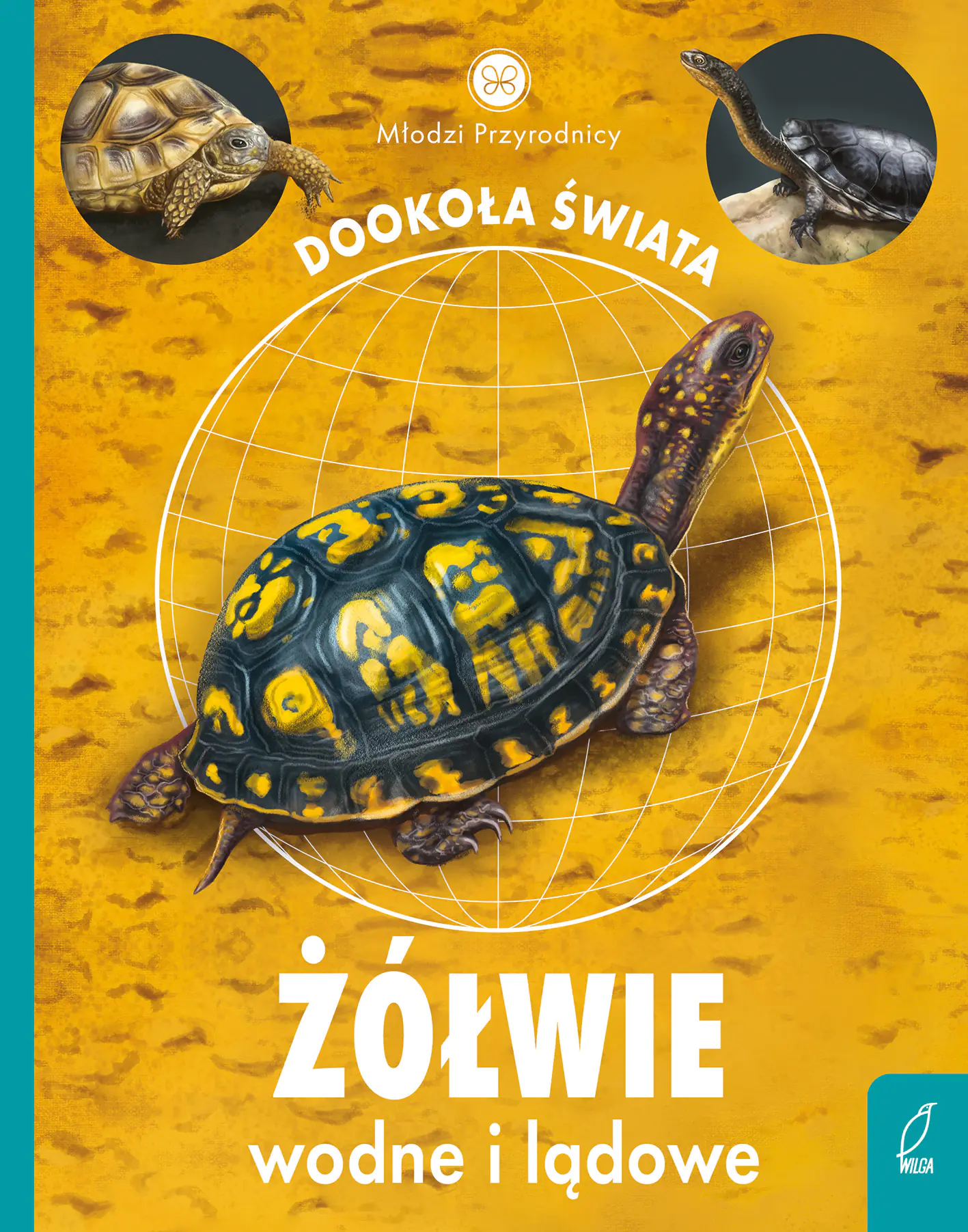 Książka - Żółwie wodne i lądowe. Młodzi przyrodnicy