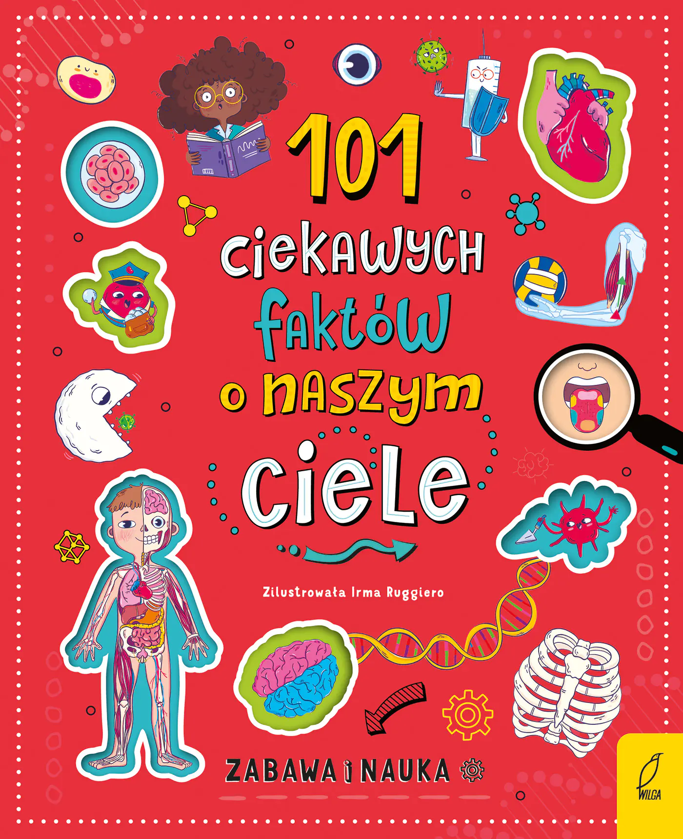 Książka - 101 ciekawych faktów o naszym ciele