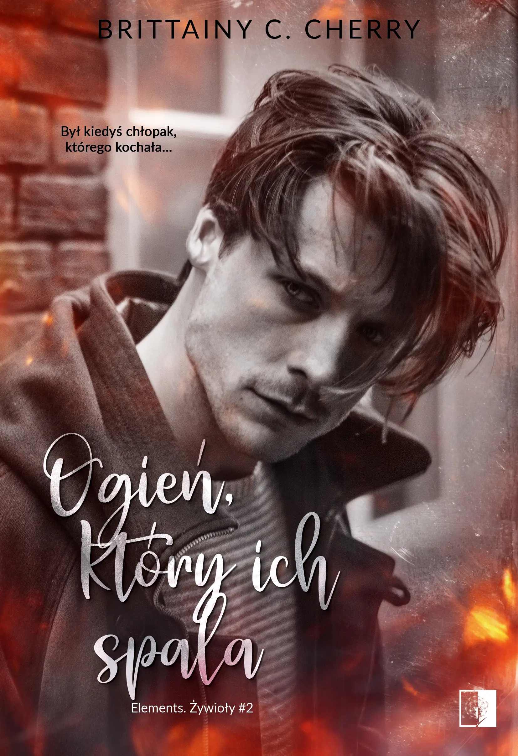 Książka - Ogień, który ich spala