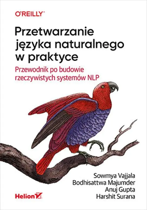 Książka - Przetwarzanie języka naturalnego w praktyce. Przewodnik po budowie rzeczywistych systemów NLP