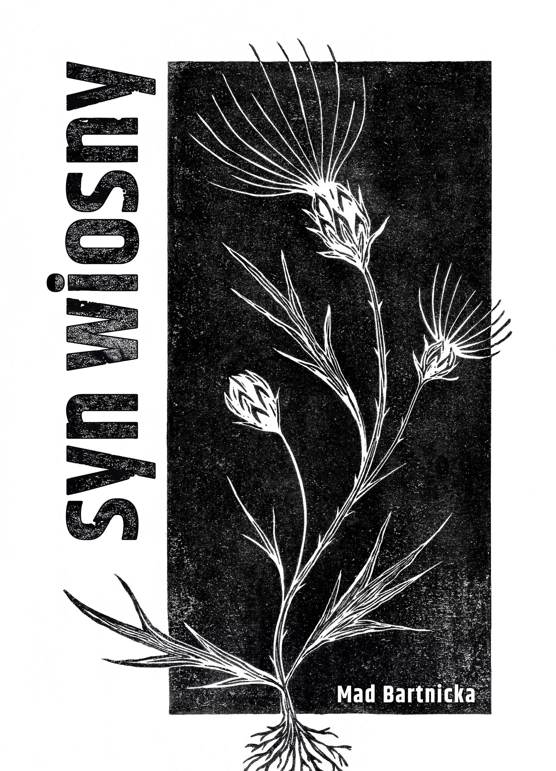 Książka - Syn wiosny