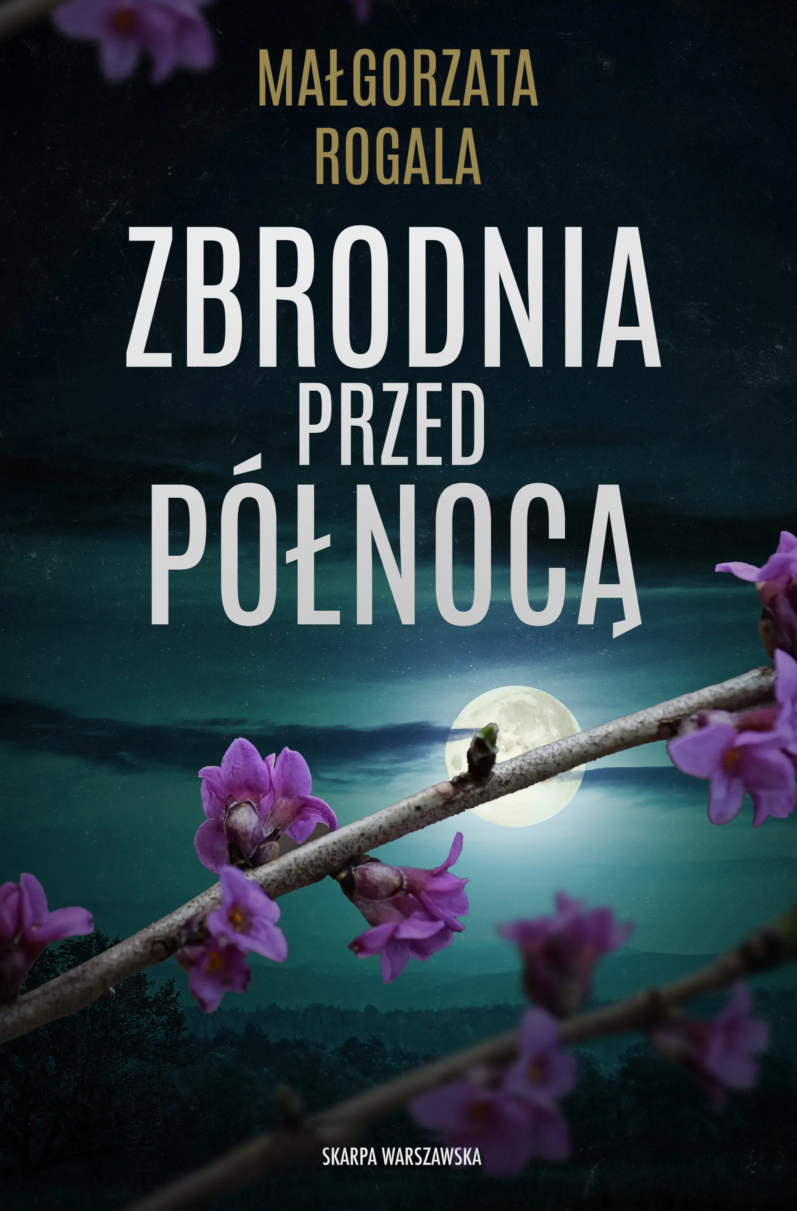 Książka - Zbrodnia przed północą