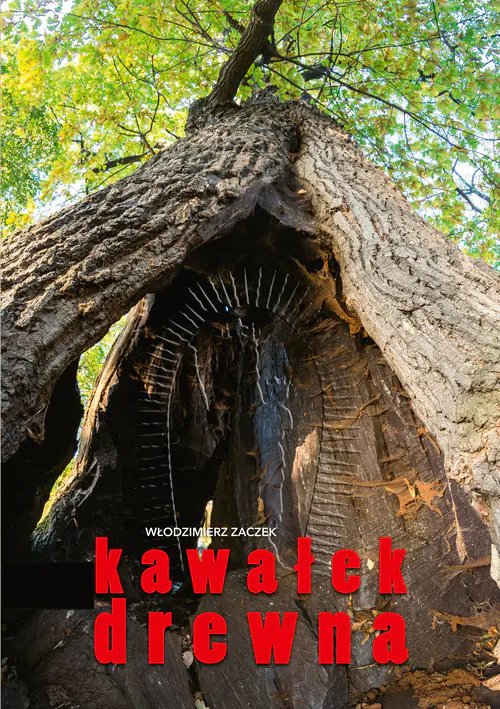 Książka - Kawałek drewna