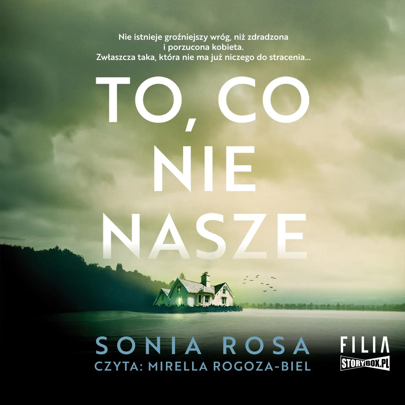 Książka - To, co nie nasze