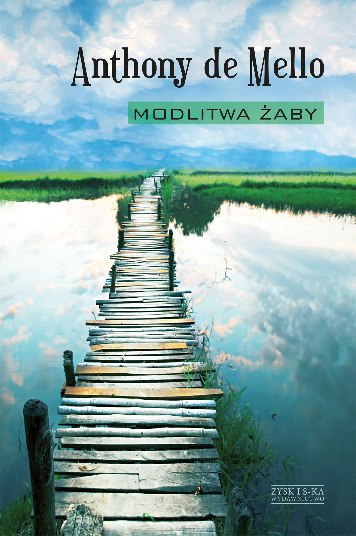 Książka - Modlitwa żaby