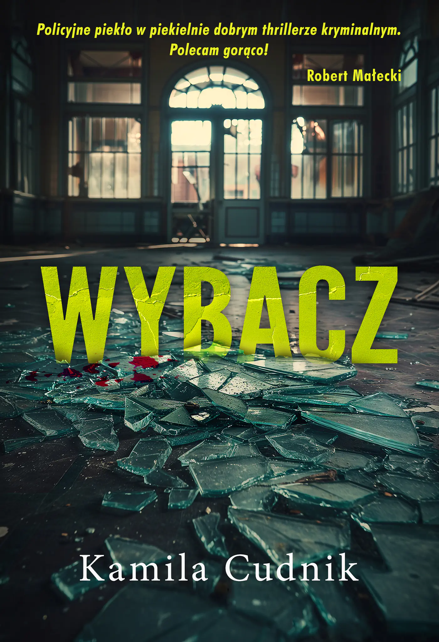 Książka - Wybacz