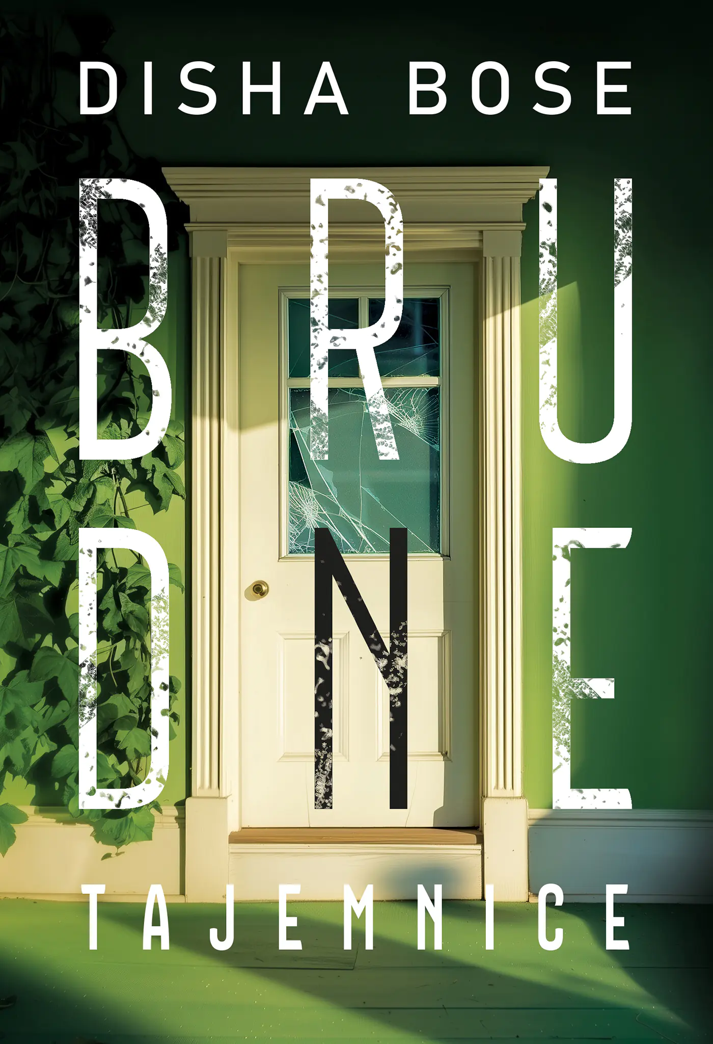 Książka - Brudne tajemnice