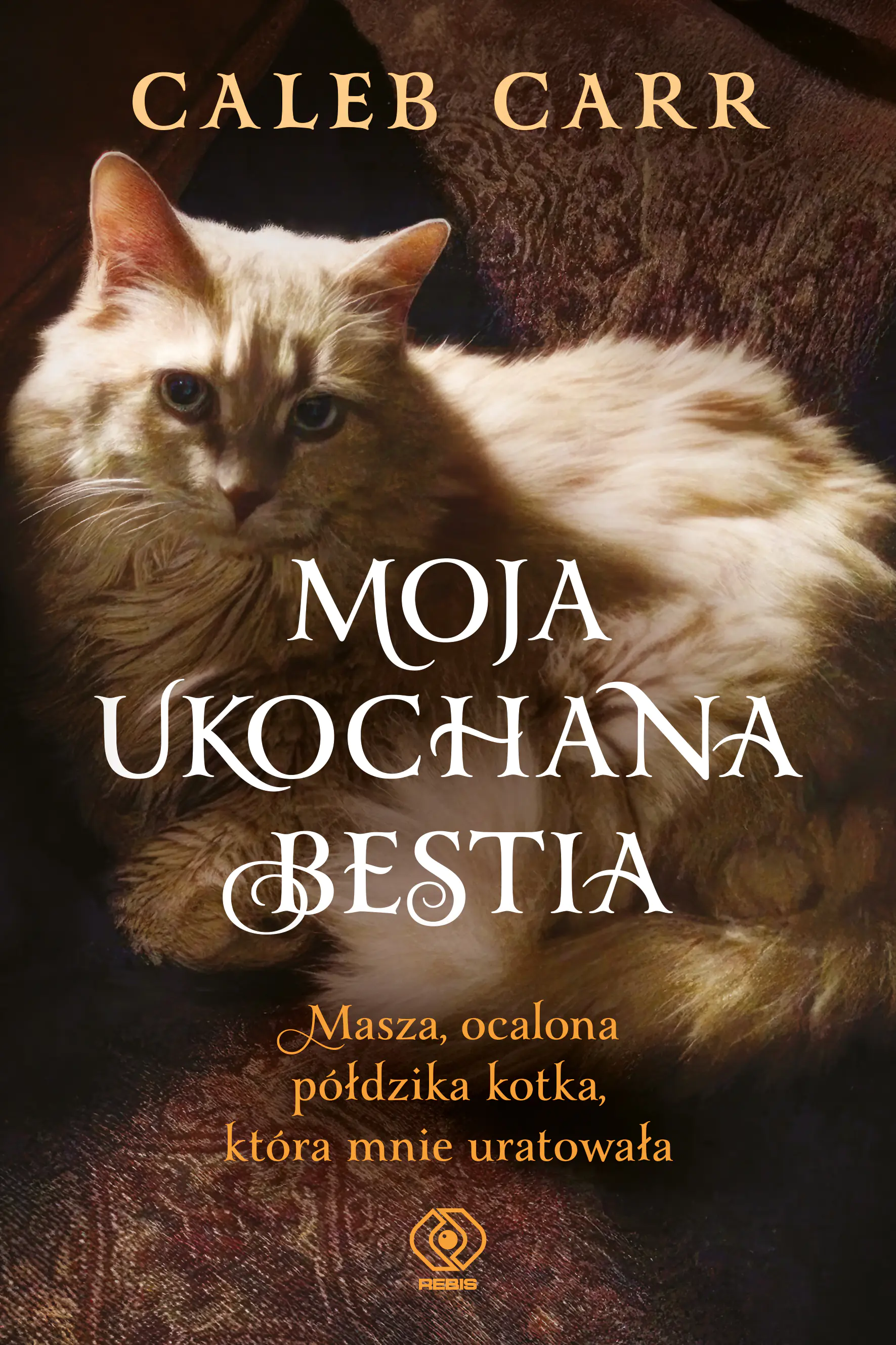 Książka - Moja ukochana bestia. Masza, ocalona półdzika kotka, która mnie uratowała