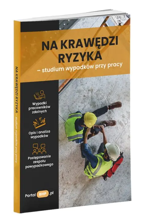 Książka - Na krawędzi ryzyka - studium wypadków przy pracy