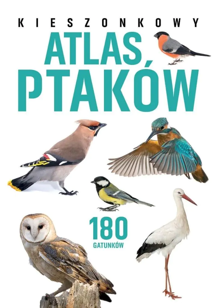 Książka - Kieszonkowy atlas ptaków. 180 gatunków