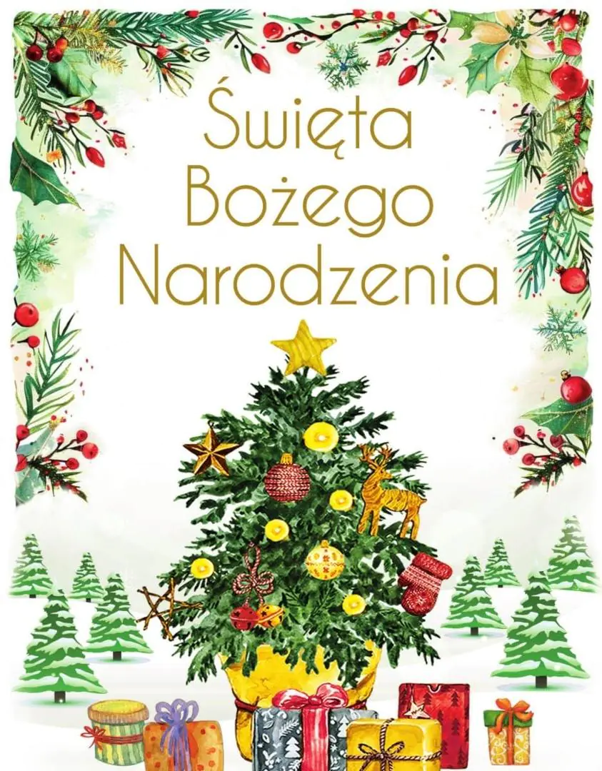 Książka - Święta Bożego Narodzenia