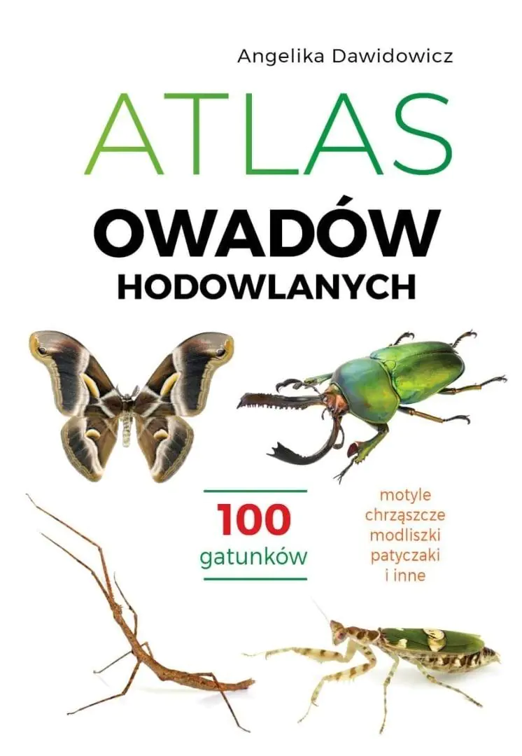Książka - Atlas owadów hodowlanych. 100 gatunków