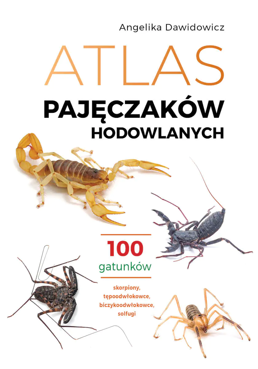 Książka - Atlas pajęczaków hodowlanych. 100 gatunków