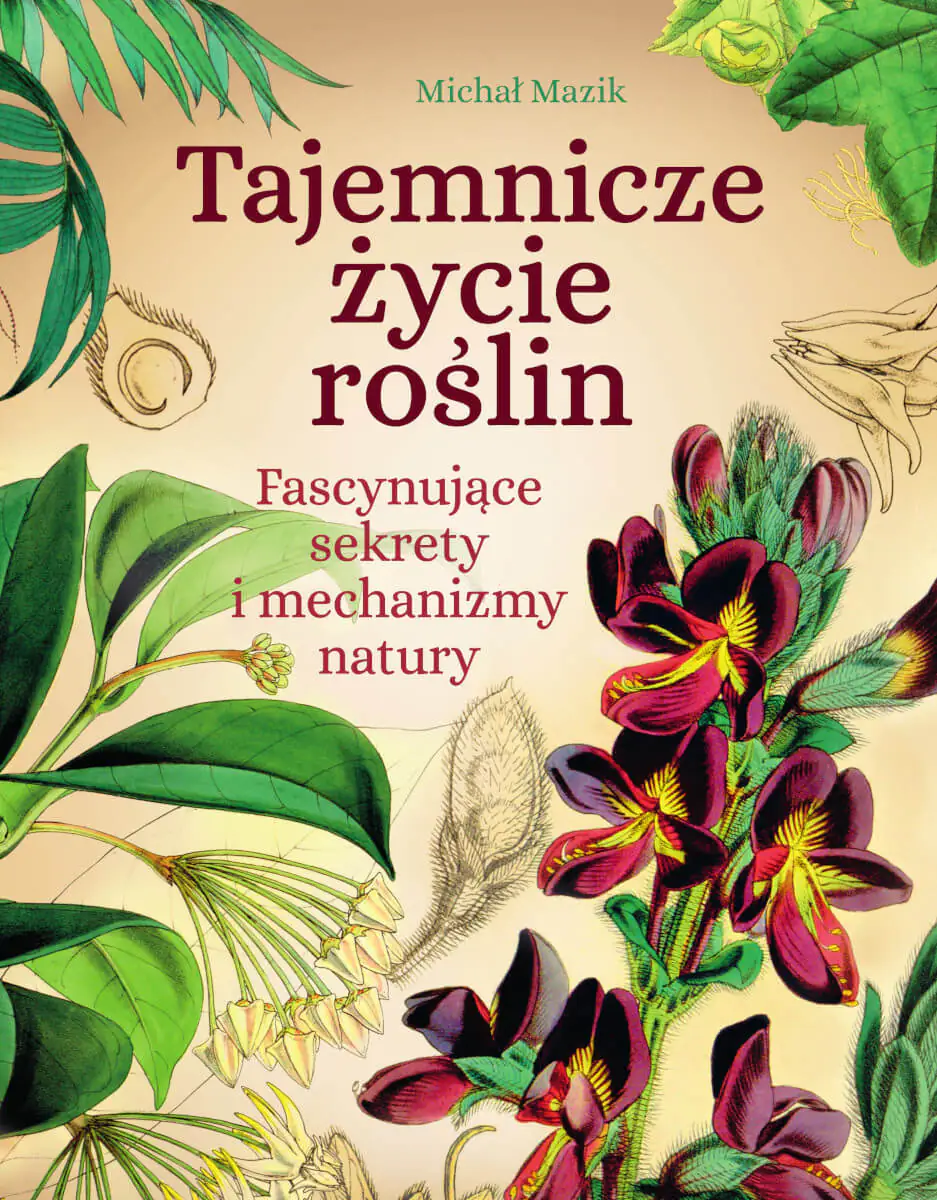 Książka - Tajemnicze życie roślin. Fascynujące sekrety i mechanizmy natury