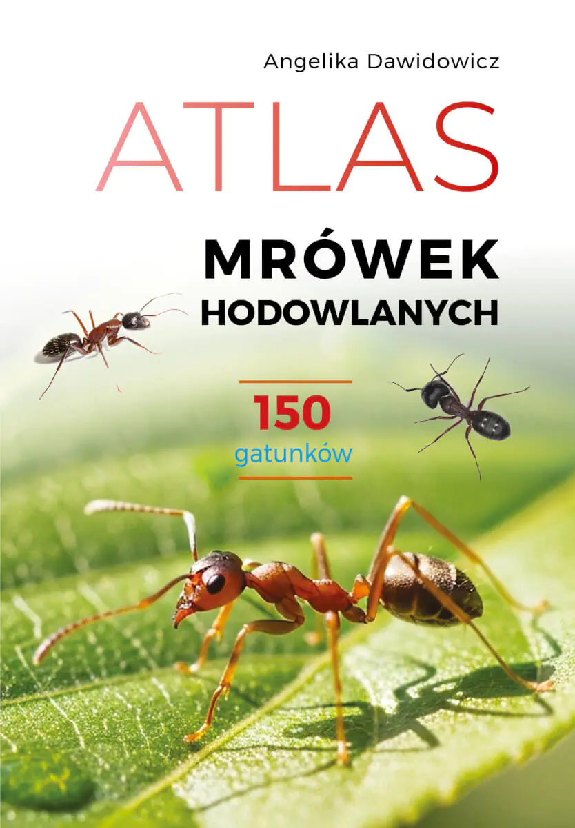 Książka - Atlas mrówek hodowlanych. 150 gatunków