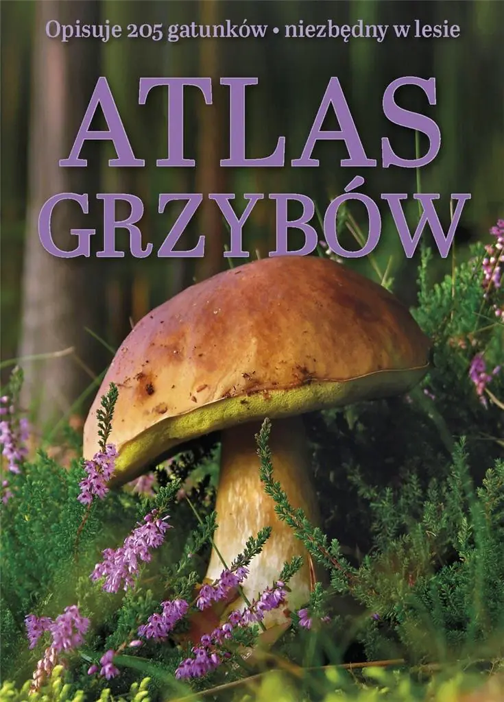 Książka - Atlas grzybów