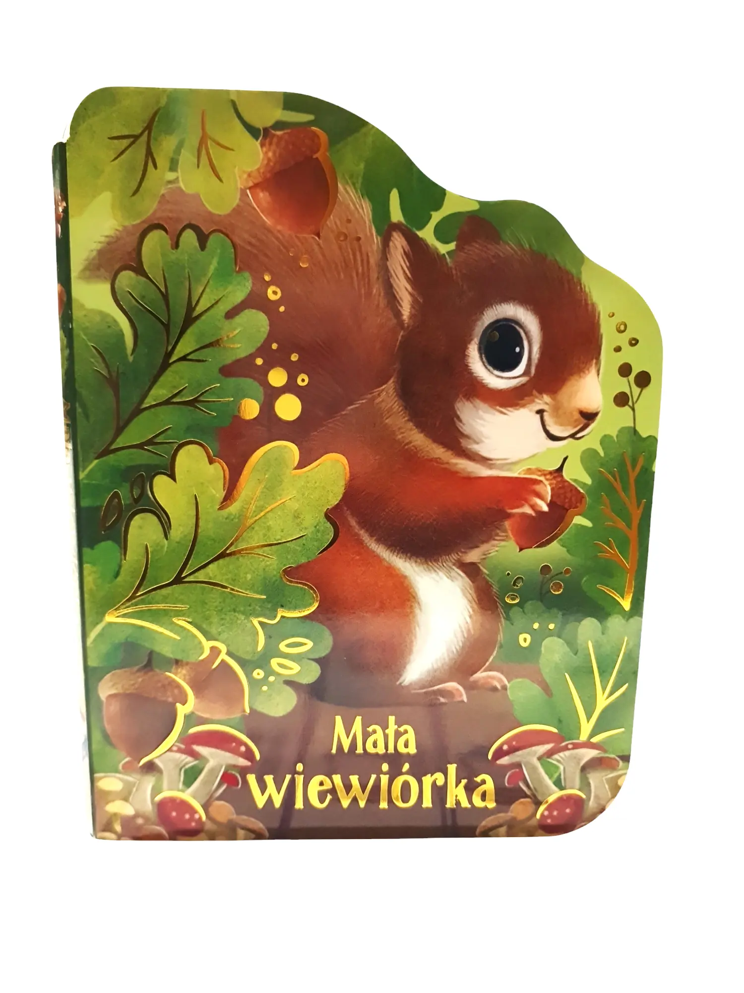 Książka - Mała wiewiórka