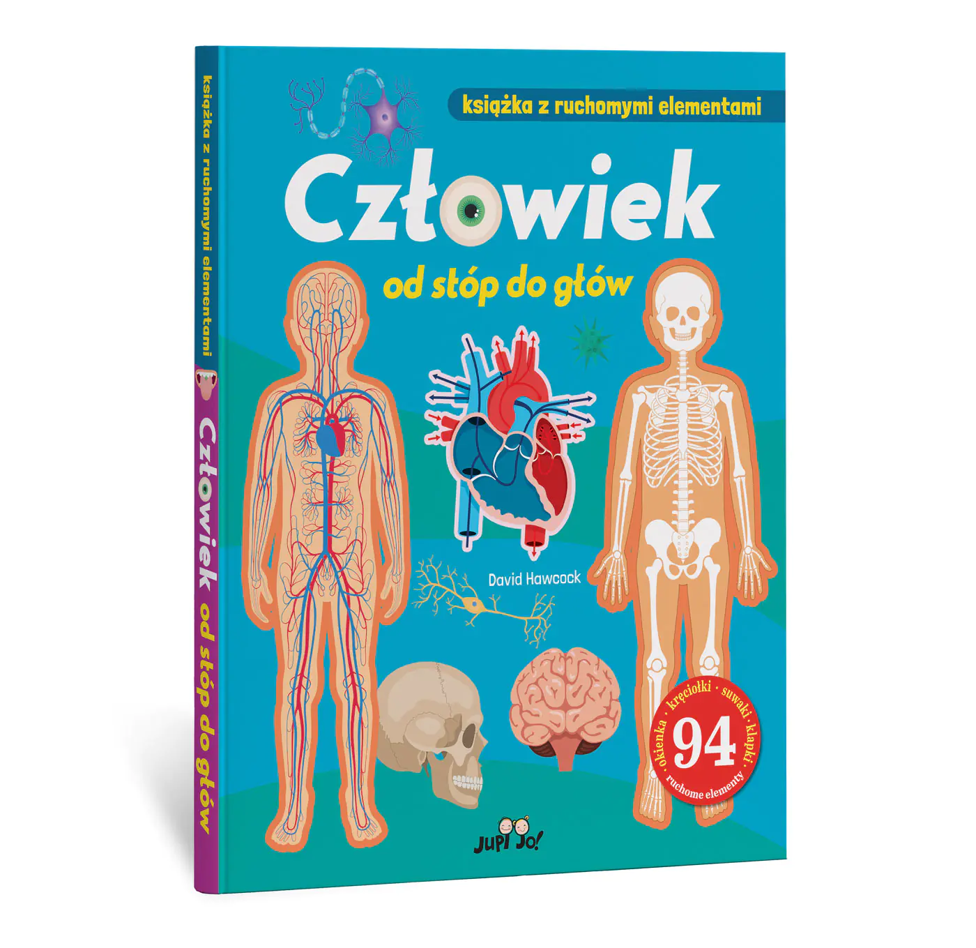 Książka - Człowiek od stóp do głów. Książka z ruchomymi elementami