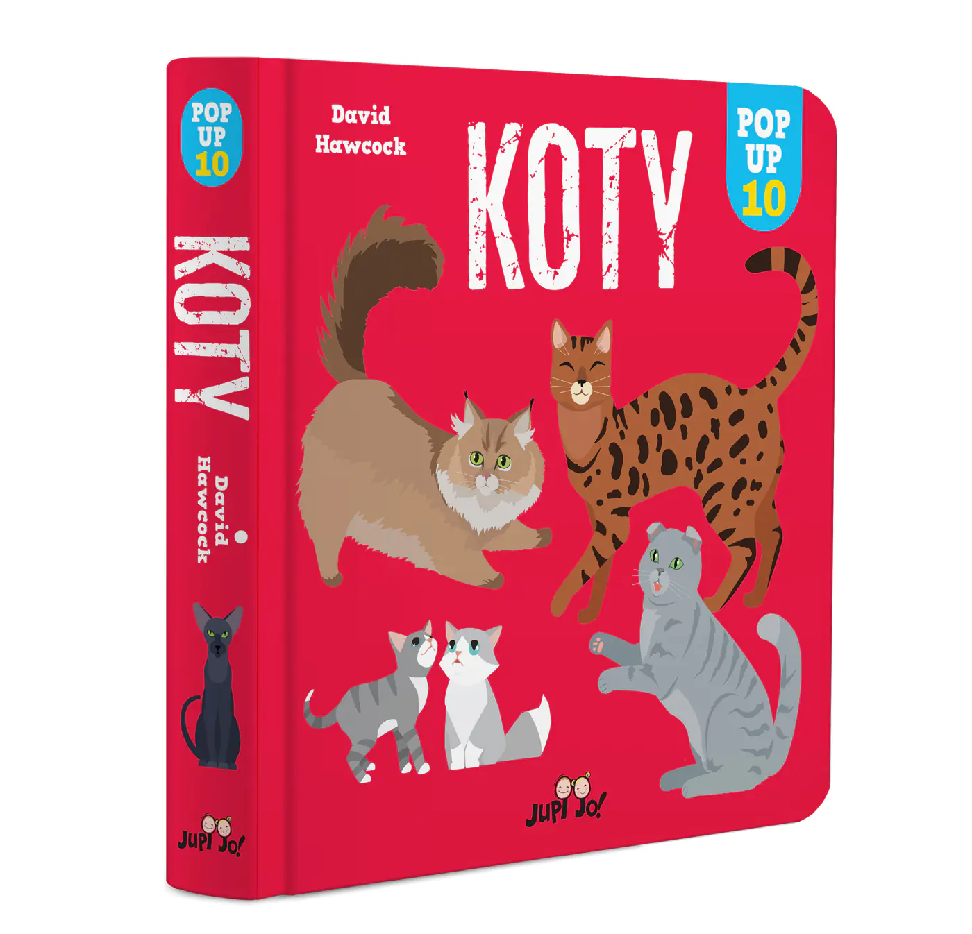 Książka - Koty. POP-UP 10