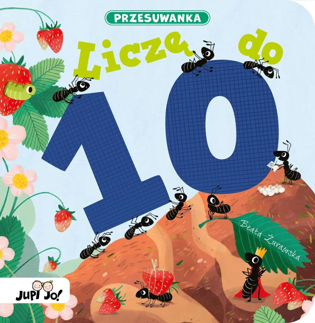 Książka - Liczę do 10