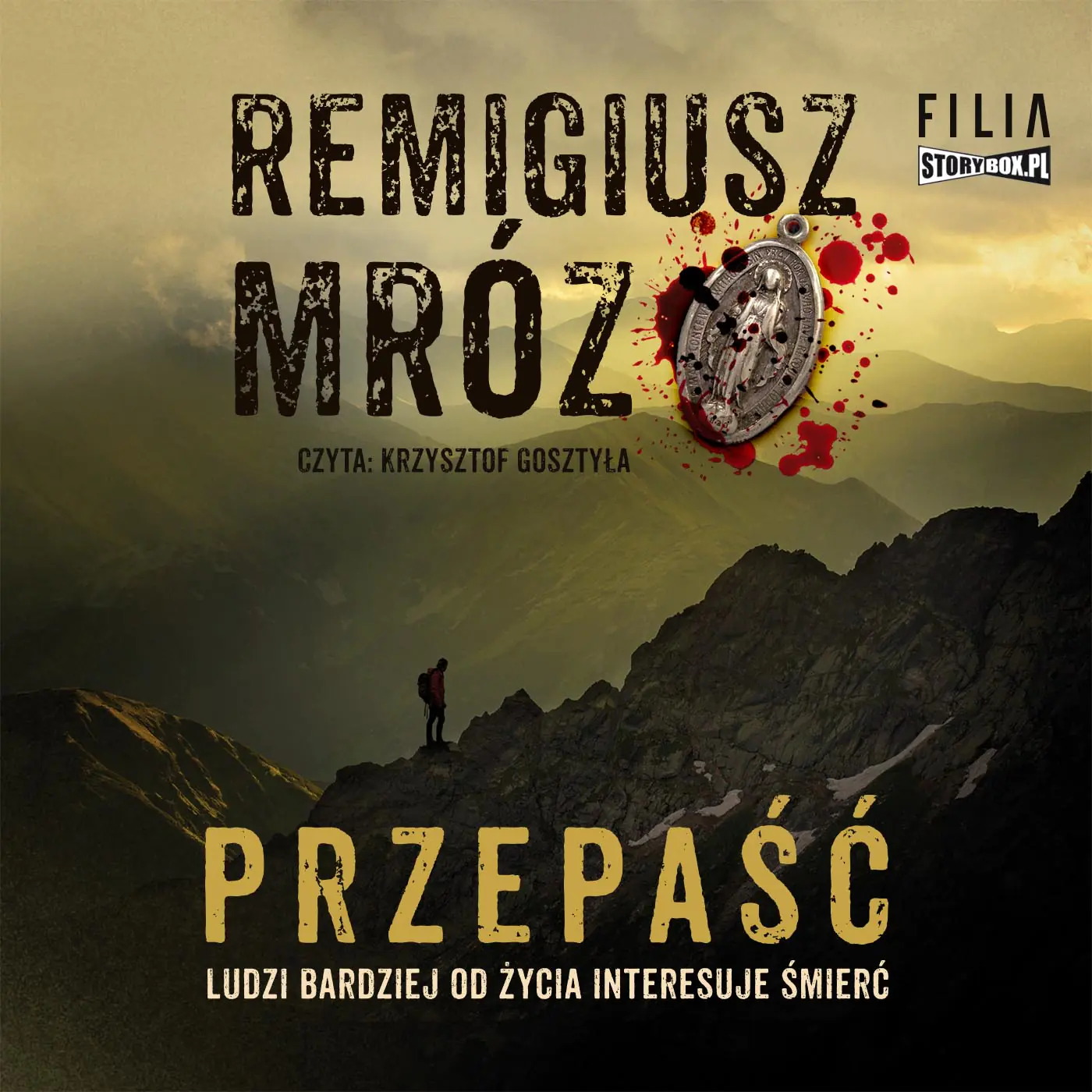 Książka - Przepaść