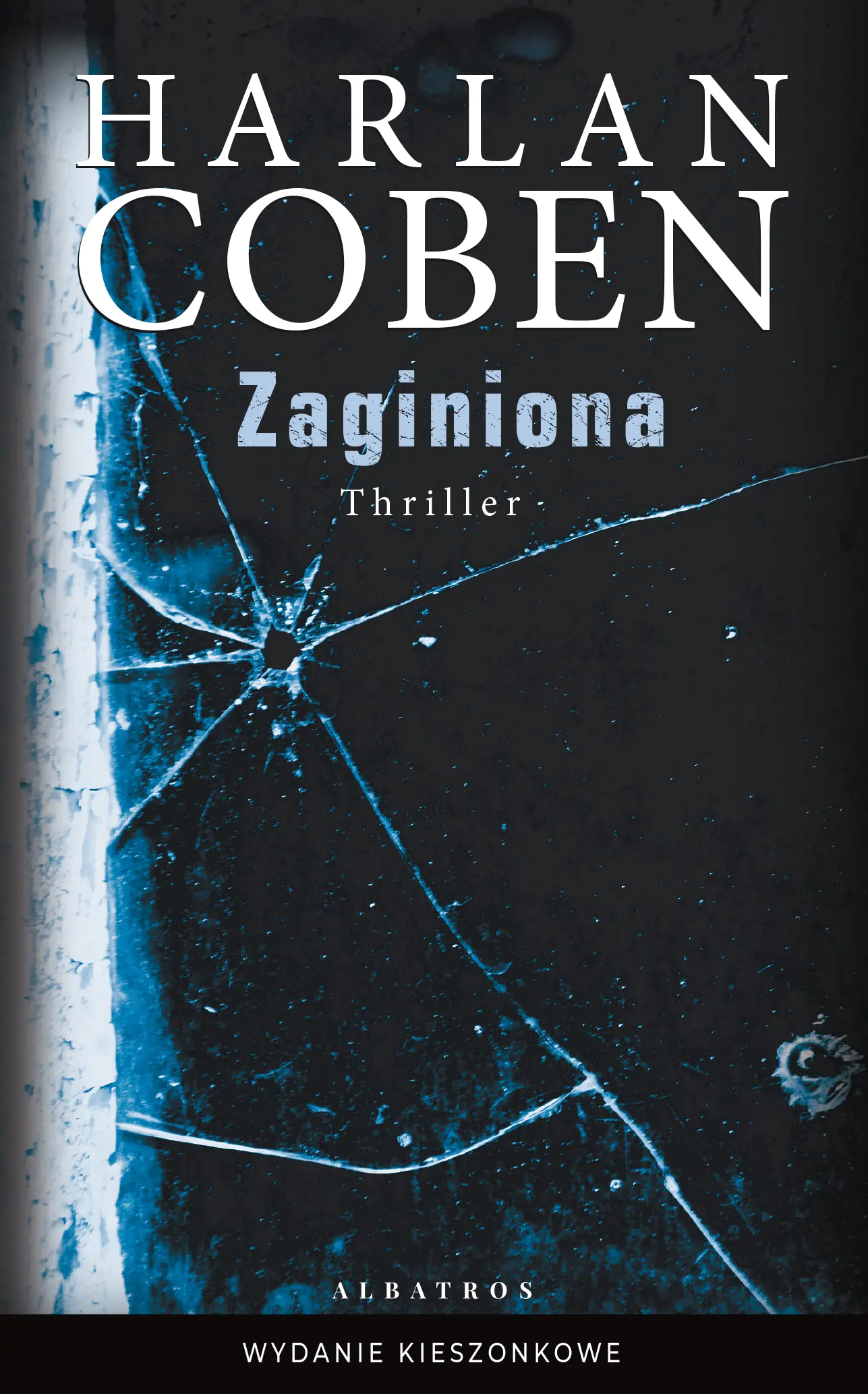 Książka - Zaginiona (pocket)