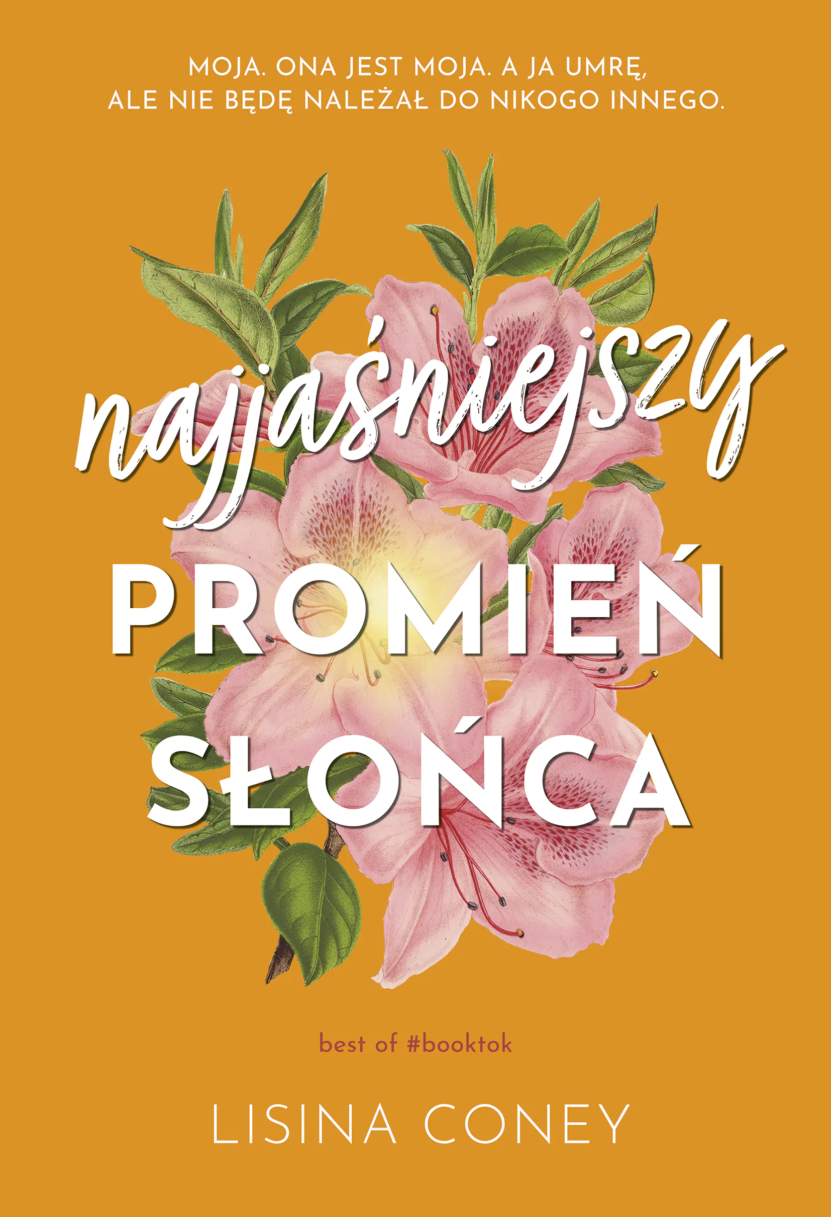 Książka - Najjaśniejszy promień słońca